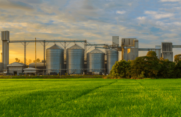 Do agro à indústria, empresas têm vendas aos EUA suspensas antes de tarifas