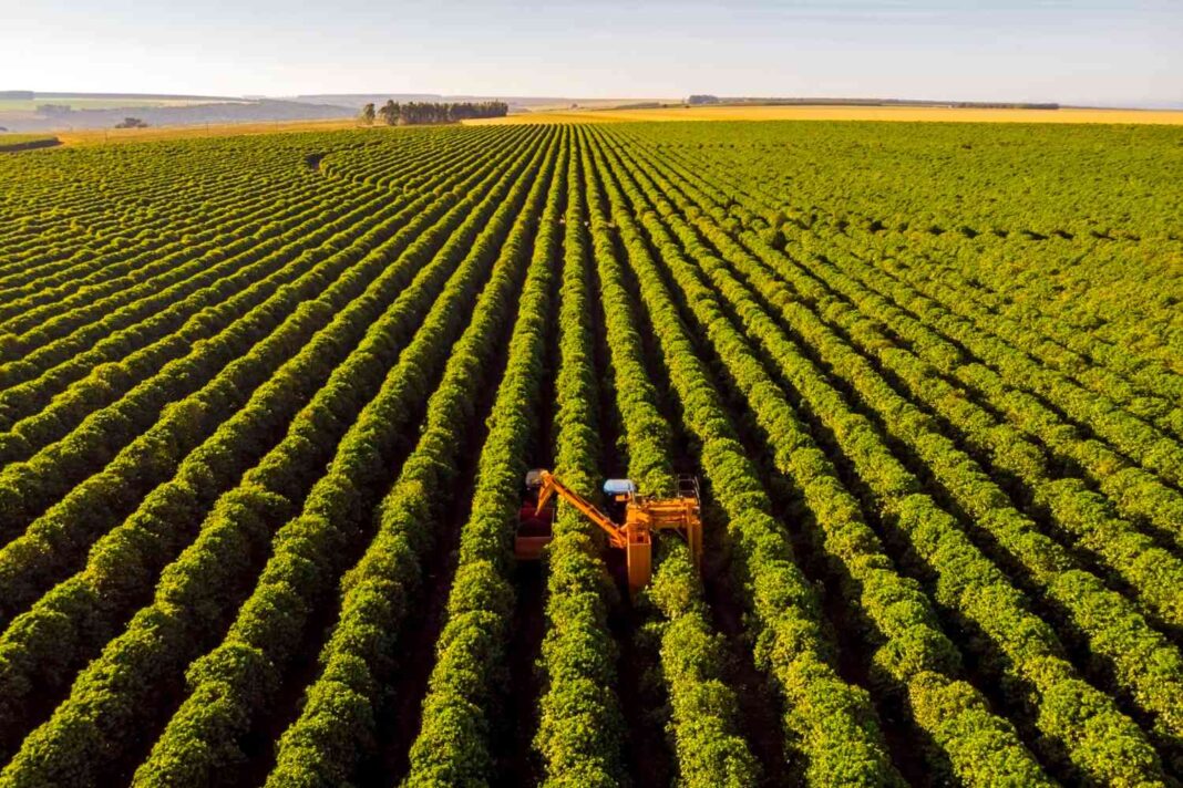 COP30: Agronegócio quer se firmar como parte da solução climática, diz Abag